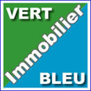 Logo Vert et Bleu Immobilier